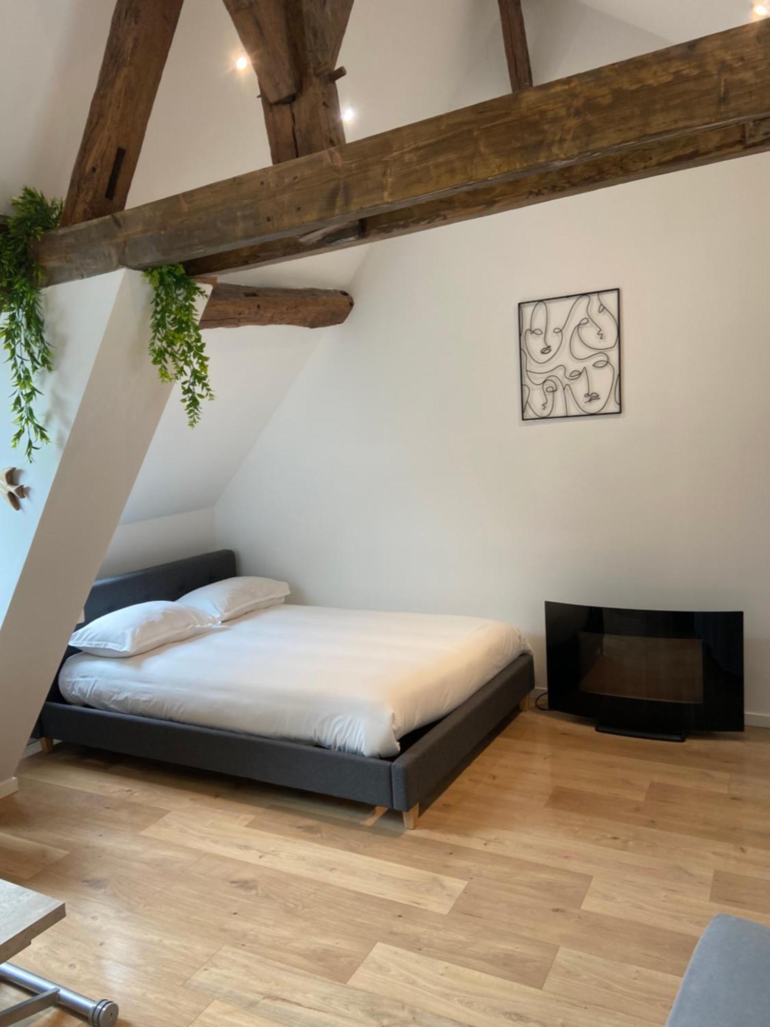 Apartamento La Champenoise La Tannerie Troyes Exterior foto