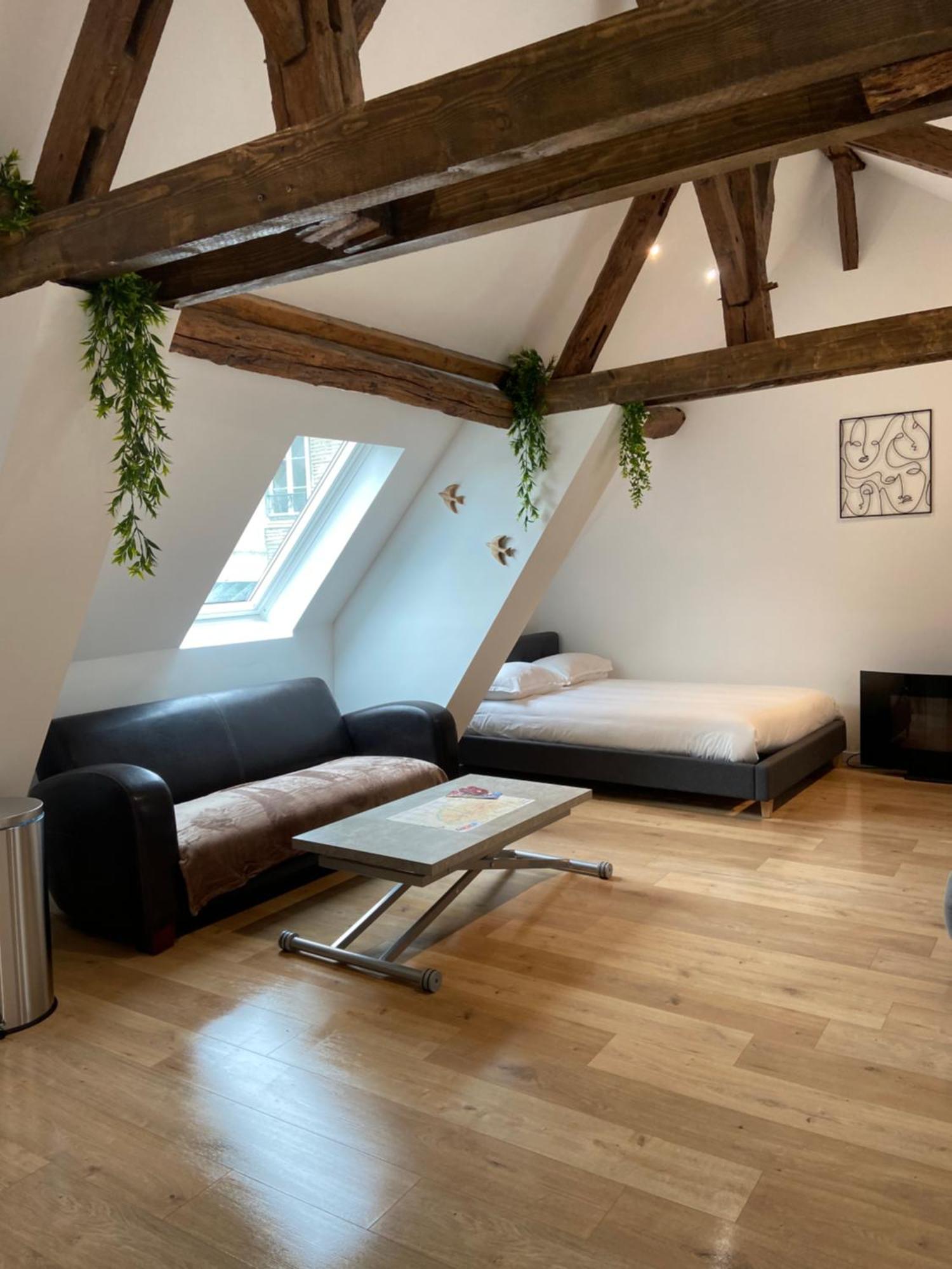 Apartamento La Champenoise La Tannerie Troyes Exterior foto