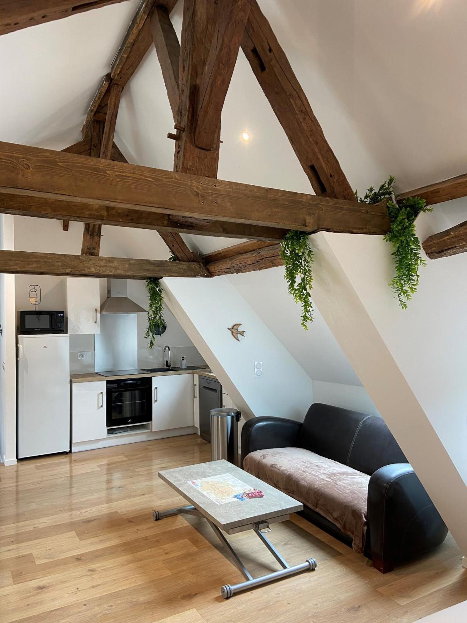 Apartamento La Champenoise La Tannerie Troyes Exterior foto