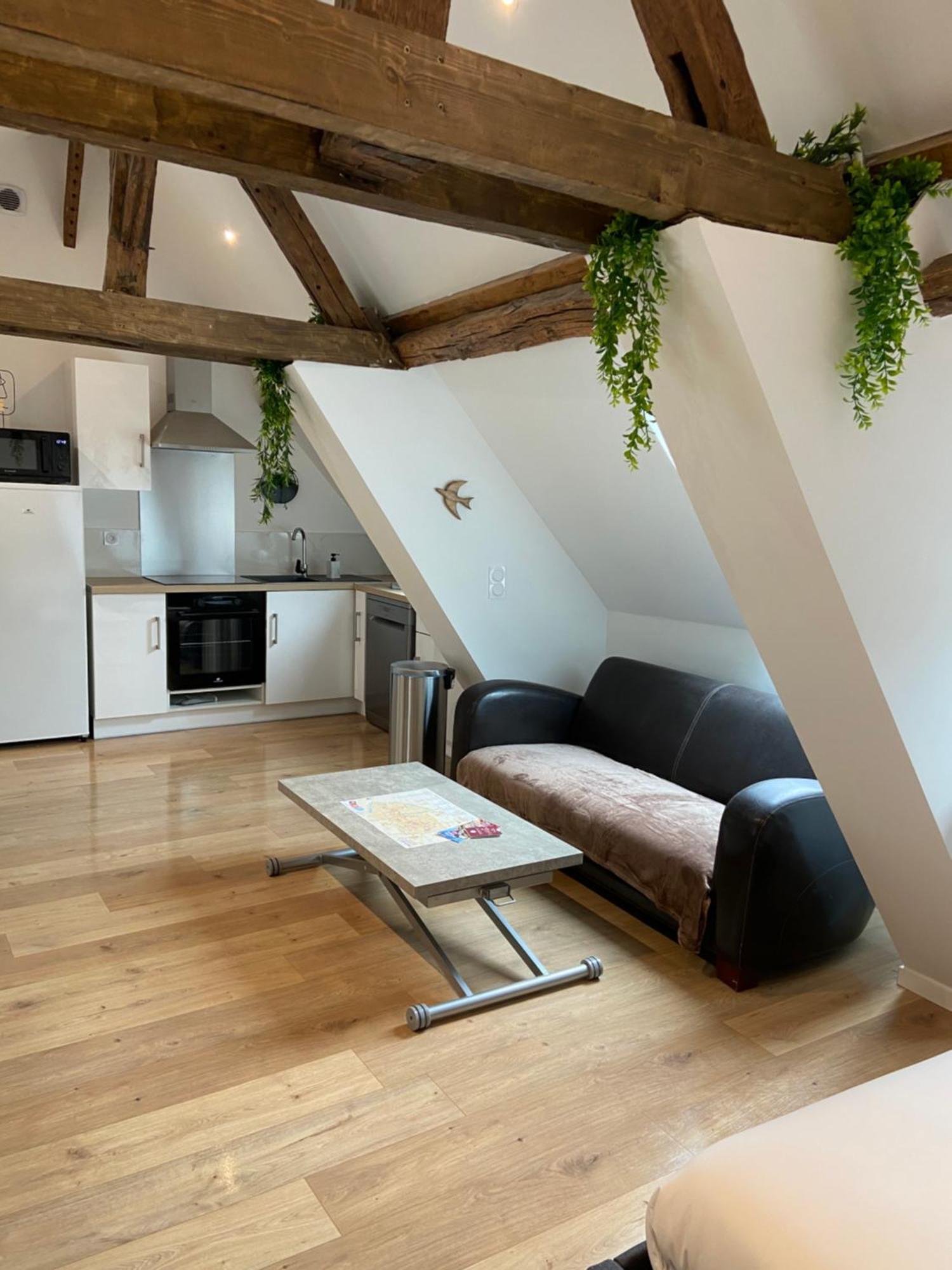 Apartamento La Champenoise La Tannerie Troyes Exterior foto