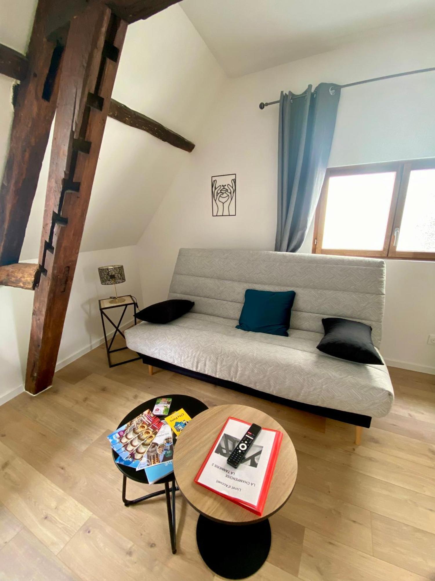 Apartamento La Champenoise La Tannerie Troyes Exterior foto