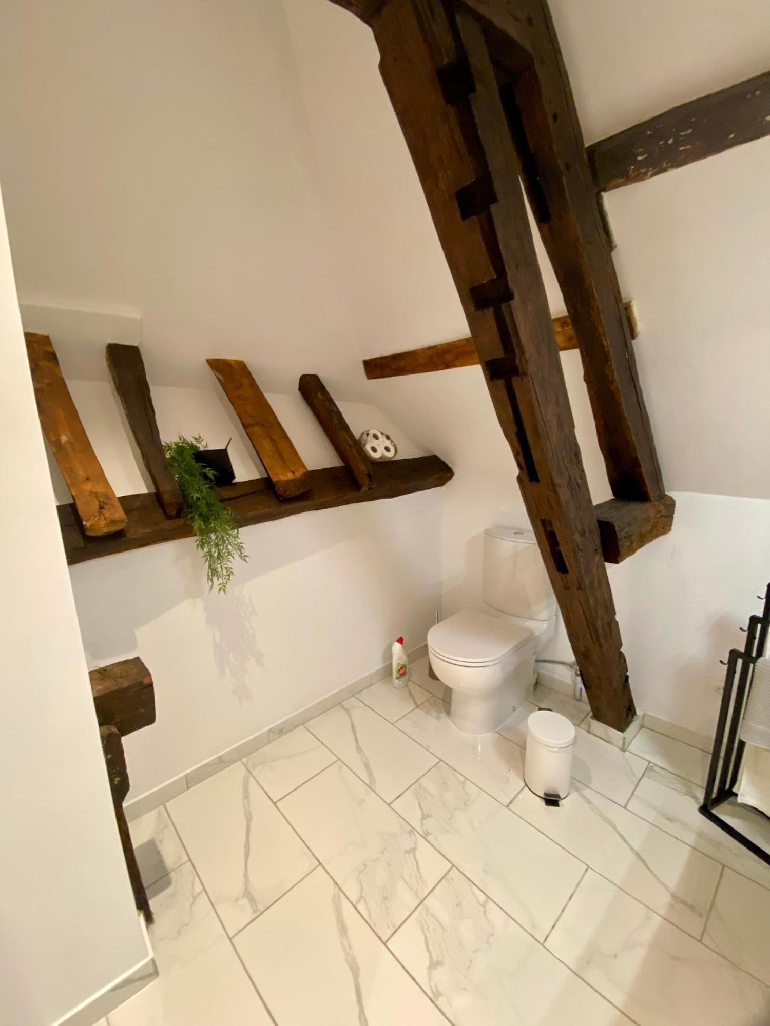 Apartamento La Champenoise La Tannerie Troyes Exterior foto