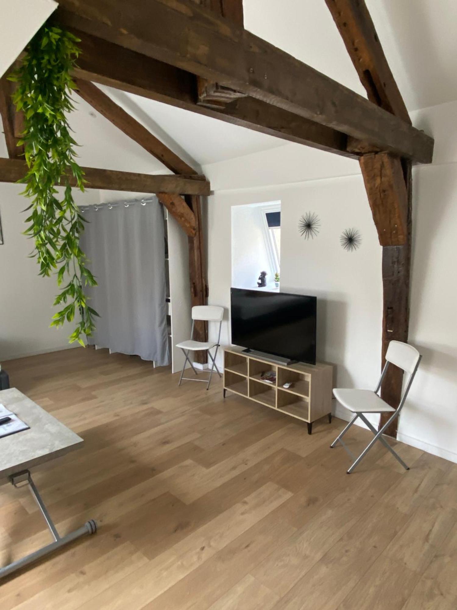 Apartamento La Champenoise La Tannerie Troyes Exterior foto
