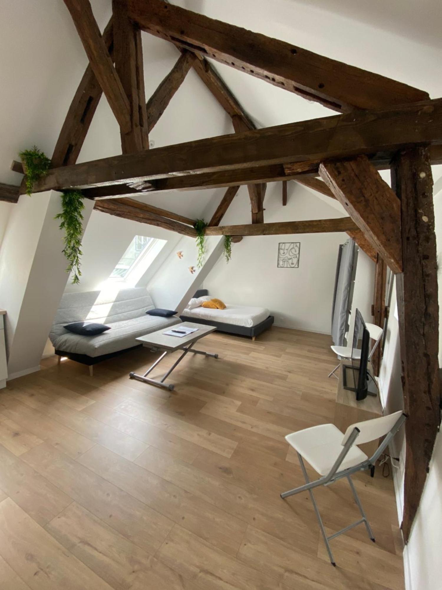 Apartamento La Champenoise La Tannerie Troyes Exterior foto