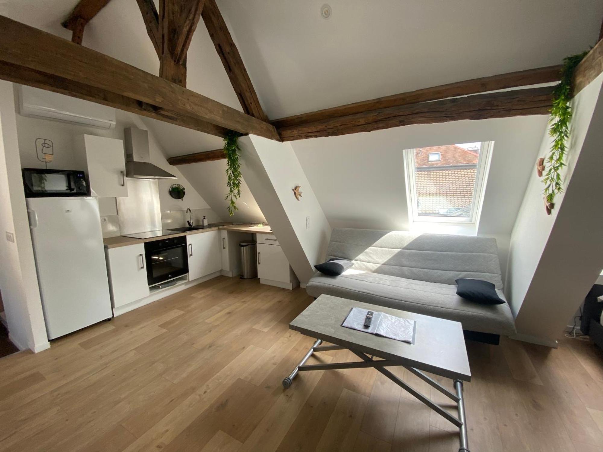 Apartamento La Champenoise La Tannerie Troyes Exterior foto